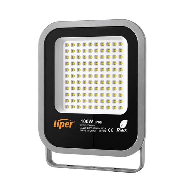 FLOODLIGHT BT GLASS