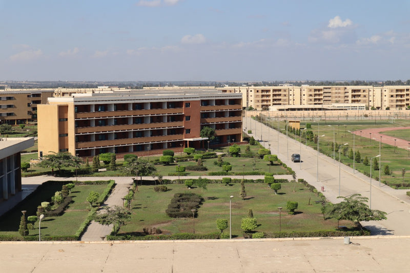 El Wardan Institute