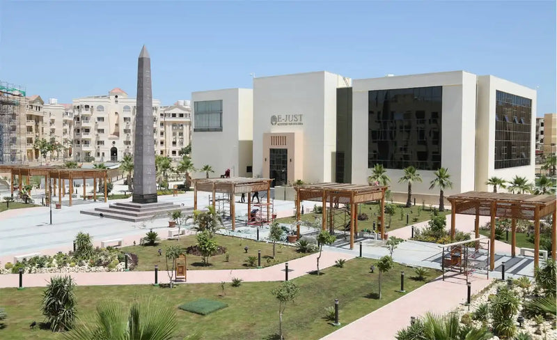 Japanese University in Egypt