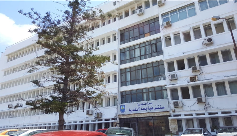 Alexandria University Hospitals